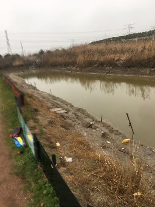 慈溪龙山哪里可以钓小龙虾？慈溪收费钓鱼点