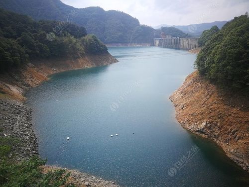 福州闽江里有什么鱼?湾里幸福水库钓鱼收费吗-图2 福州闽江里有什么鱼?湾里幸福水库钓鱼收费吗-图2