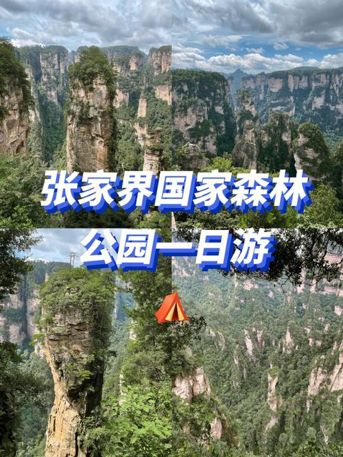 武陵源森林公园门票?张家界武陵源乱收费-图2 武陵源森林公园门票?张家界武陵源乱收费-图2