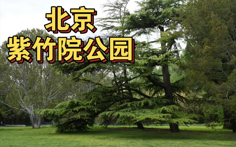 北京紫竹院停车收费?紫竹院公园停车场收费-图3 北京紫竹院停车收费?紫竹院公园停车场收费-图3