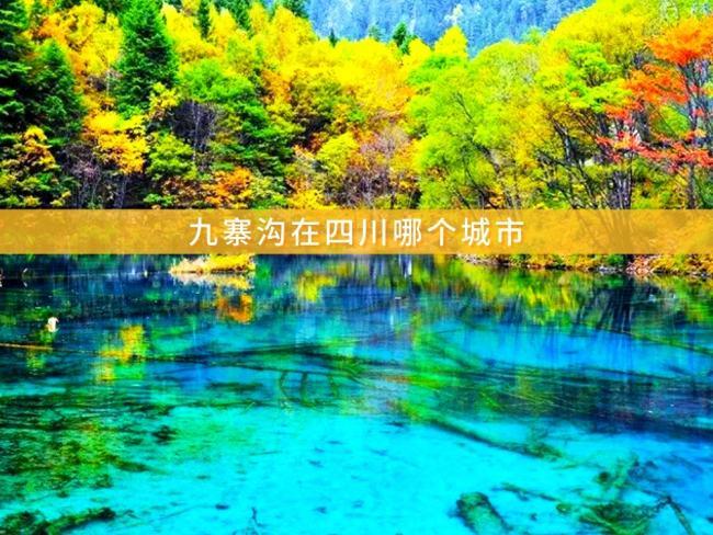 从九寨沟县城怎么去九寨沟景区多少钱?成都到九寨沟收费-图2 从九寨沟县城怎么去九寨沟景区多少钱?成都到九寨沟收费-图2