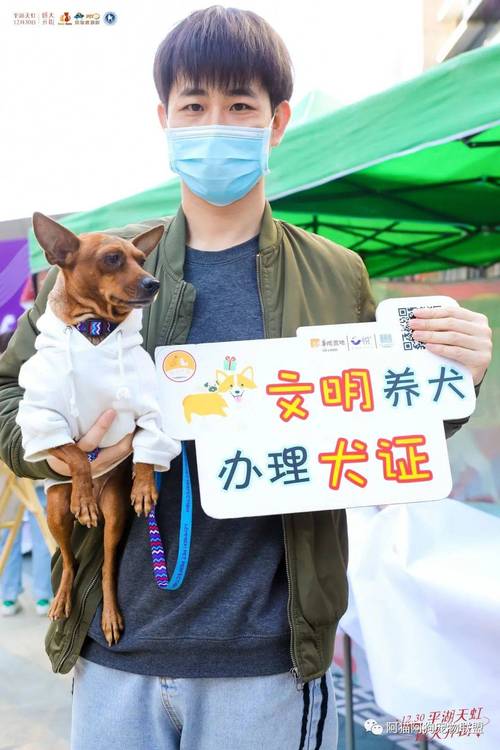 全国小动物保护科普证书怎么拿?成都协和宠物医院收费标准-图2 全国小动物保护科普证书怎么拿?成都协和宠物医院收费标准-图2