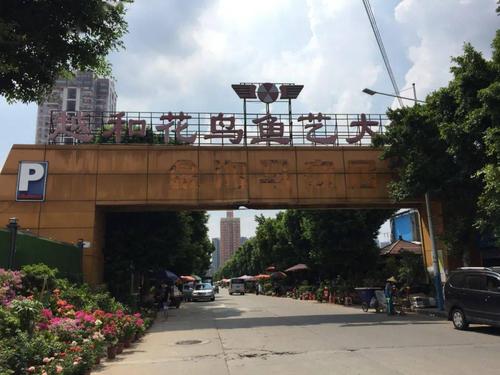 芳村花卉市场停车攻略?芳村汽车站有停车场吗 怎么收费-图2 芳村花卉市场停车攻略?芳村汽车站有停车场吗 怎么收费-图2