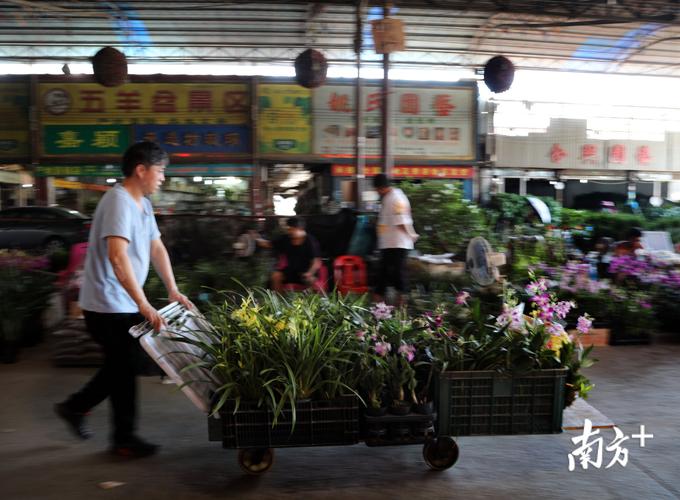 芳村花卉市场停车攻略?芳村汽车站有停车场吗 怎么收费-图1 芳村花卉市场停车攻略?芳村汽车站有停车场吗 怎么收费-图1