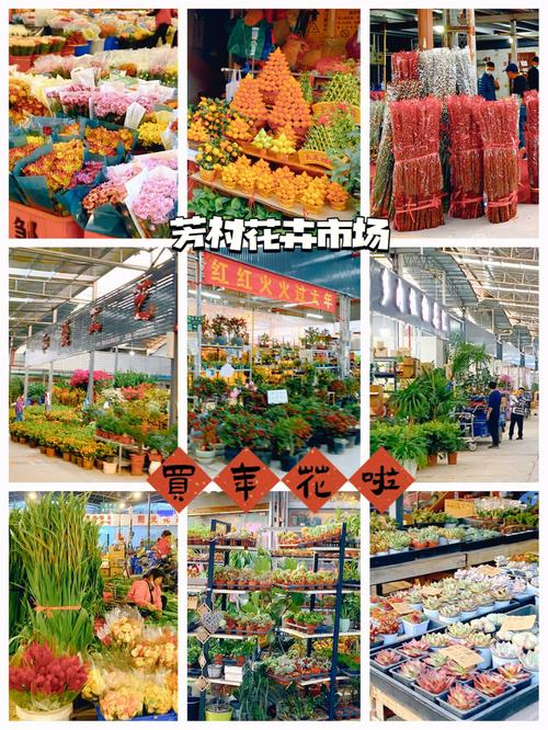 芳村花卉市场停车攻略?芳村汽车站有停车场吗 怎么收费-图3 芳村花卉市场停车攻略?芳村汽车站有停车场吗 怎么收费-图3