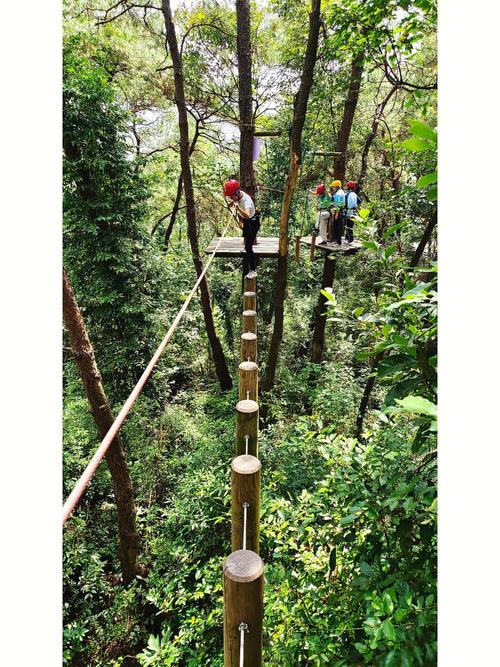 长汀飞越丛林门票多少?飞狐收费-图1 长汀飞越丛林门票多少?飞狐收费-图1