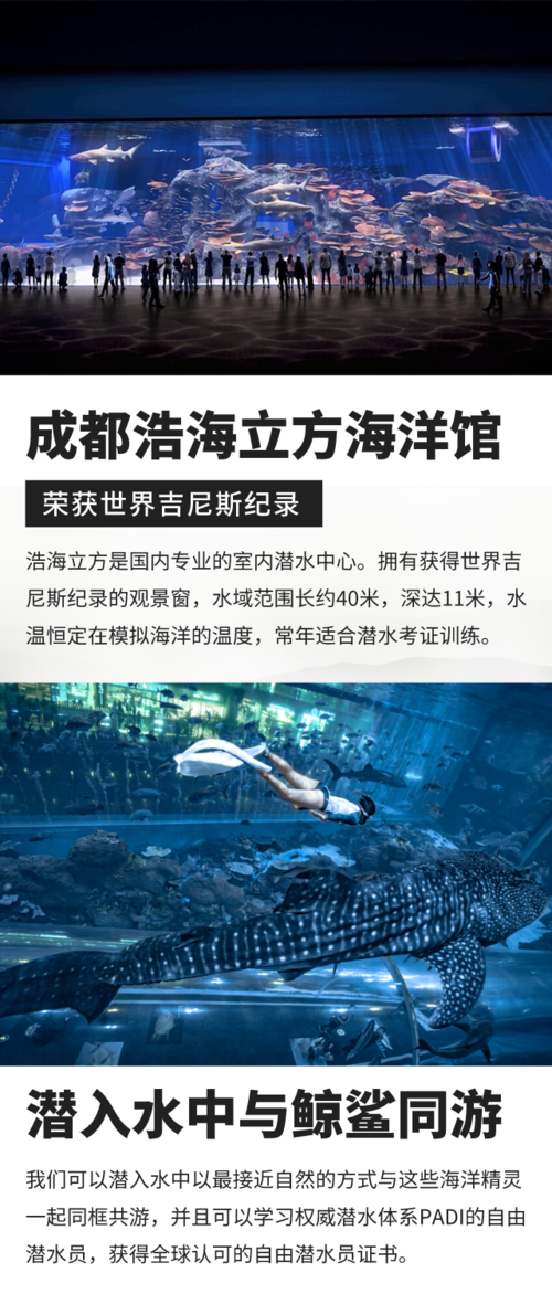 成都两个海洋馆的区别?成都 潜水 收费-图3 成都两个海洋馆的区别?成都 潜水 收费-图3