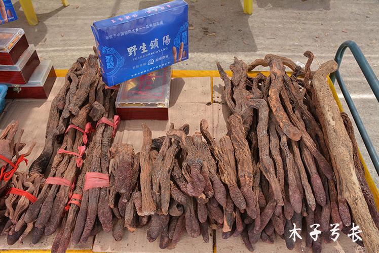 河西走廊特产?苁蓉山庄收费吗-图2 河西走廊特产?苁蓉山庄收费吗-图2
