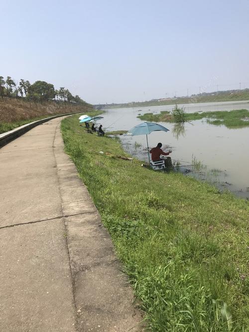 长沙年嘉湖可以钓鱼吗?长沙按天收费的垂钓-图2 长沙年嘉湖可以钓鱼吗?长沙按天收费的垂钓-图2
