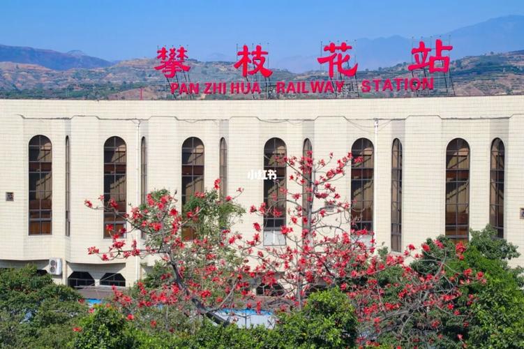 攀枝花退休人员怎么办花惠卡?攀枝花哪家银行卡不收费-图3 攀枝花退休人员怎么办花惠卡?攀枝花哪家银行卡不收费-图3