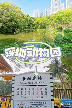 深圳野生动物园停车费用怎么收?深圳动物园停车场收费-图3 深圳野生动物园停车费用怎么收?深圳动物园停车场收费-图3
