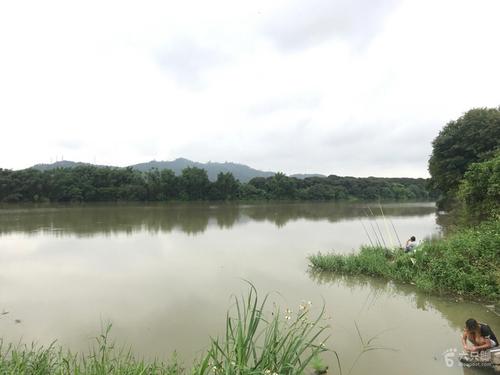 流溪河水库哪个地段好钓鱼?流溪河水库钓鱼收费吗-图2 流溪河水库哪个地段好钓鱼?流溪河水库钓鱼收费吗-图2