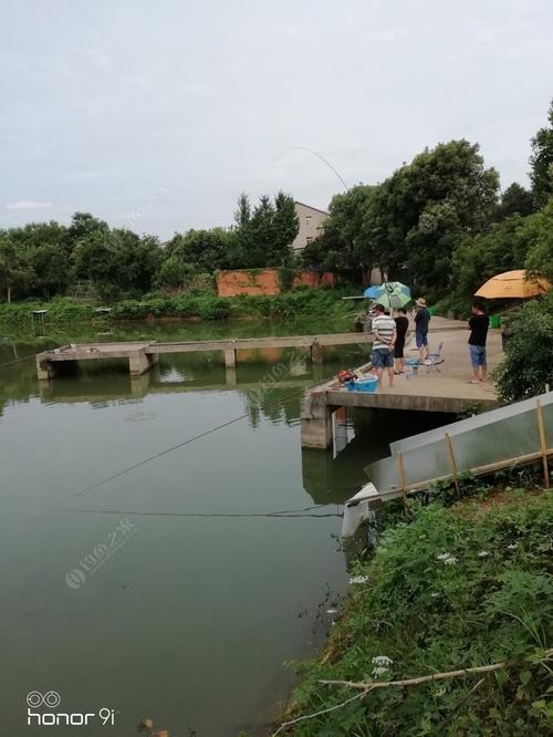 武汉哪里有可以钓鱼的地方？蔡甸区钓鱼收费场地