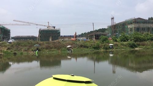 武汉哪里有可以钓鱼的地方?蔡甸区钓鱼收费场地-图3 武汉哪里有可以钓鱼的地方?蔡甸区钓鱼收费场地-图3