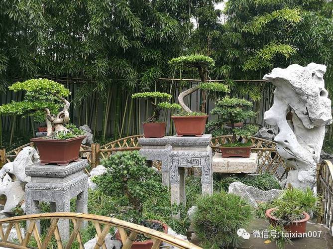 60岁以上全国免费旅游景点？中华盆景园收费