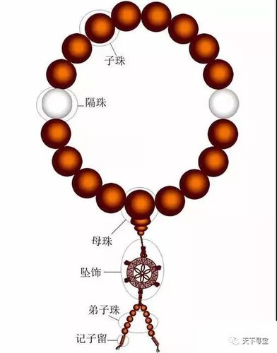 人眉心骨做的手串叫什么？沈阳铁西梵天瑜伽怎么收费