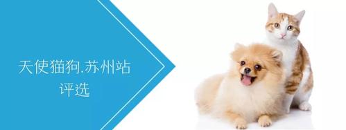 苏州哪里有宠物收容站呢?尹山收费站-图2 苏州哪里有宠物收容站呢?尹山收费站-图2