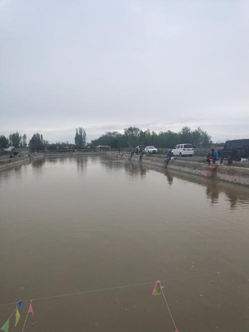 宁夏吴忠市去哪玩?德福庄园钓鱼收费-图3 宁夏吴忠市去哪玩?德福庄园钓鱼收费-图3