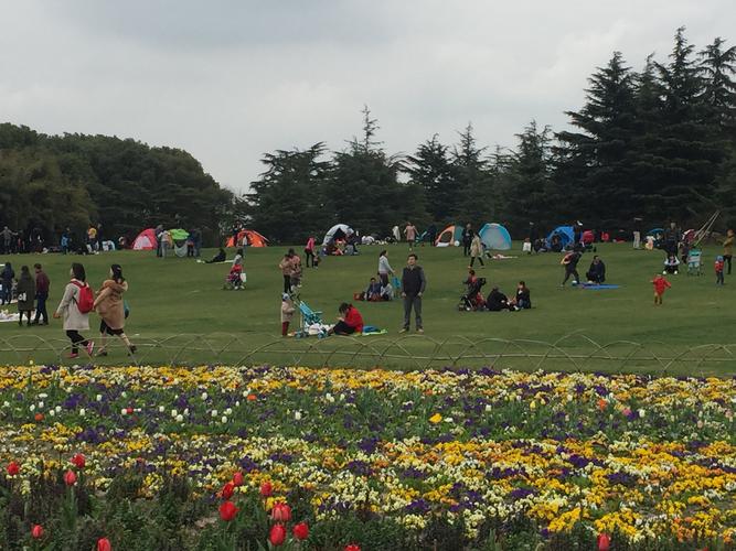 上海市世纪公园要门票吗?世纪公园里面的景点收费吗-图3 上海市世纪公园要门票吗?世纪公园里面的景点收费吗-图3