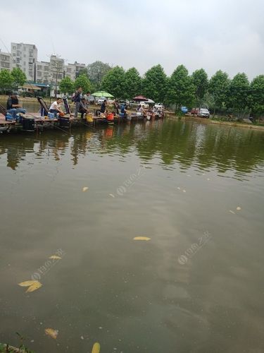 阳逻钓小龙虾的地方?武汉东湖渔场钓鱼收费-图1 阳逻钓小龙虾的地方?武汉东湖渔场钓鱼收费-图1