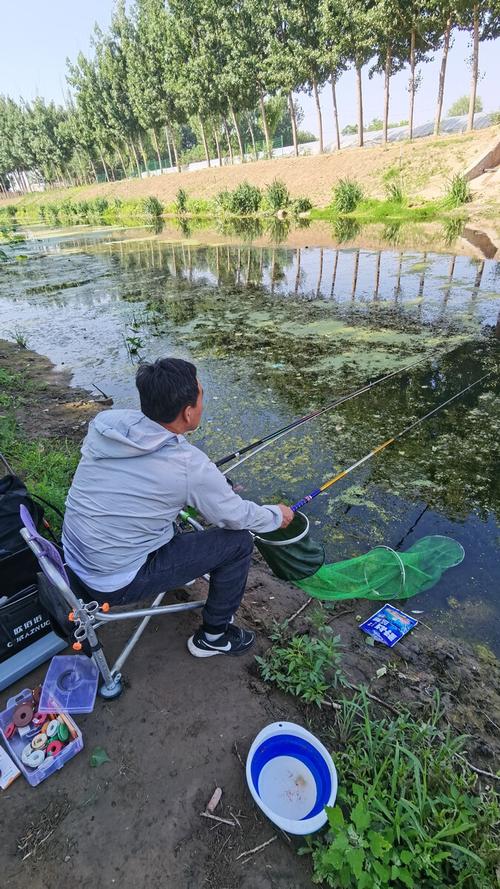 普陀区钓鱼场所?东山湖公园钓鱼收费半天25元-图1 普陀区钓鱼场所?东山湖公园钓鱼收费半天25元-图1