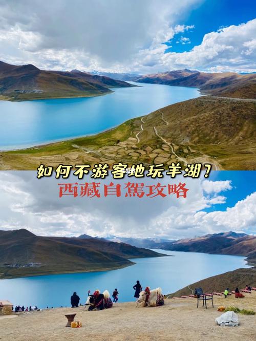 羊湖自驾要门票吗？某风景区门票的收费标准如下