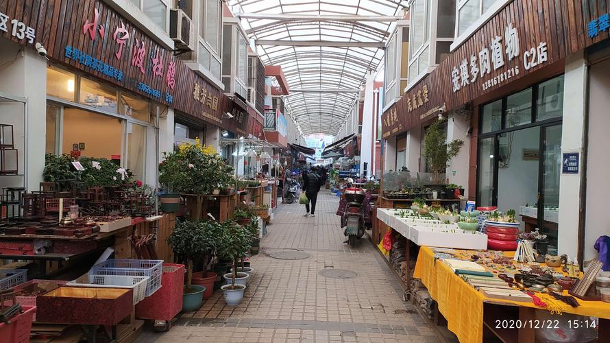 太原市最大的花鸟市场?亲贤街停车收费标准-图1 太原市最大的花鸟市场?亲贤街停车收费标准-图1