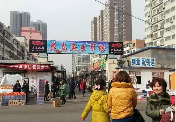 太原市最大的花鸟市场?亲贤街停车收费标准-图2 太原市最大的花鸟市场?亲贤街停车收费标准-图2