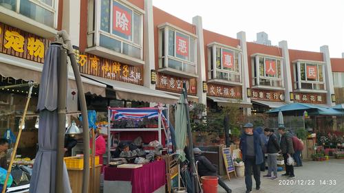 太原市最大的花鸟市场?亲贤街停车收费标准-图3 太原市最大的花鸟市场?亲贤街停车收费标准-图3