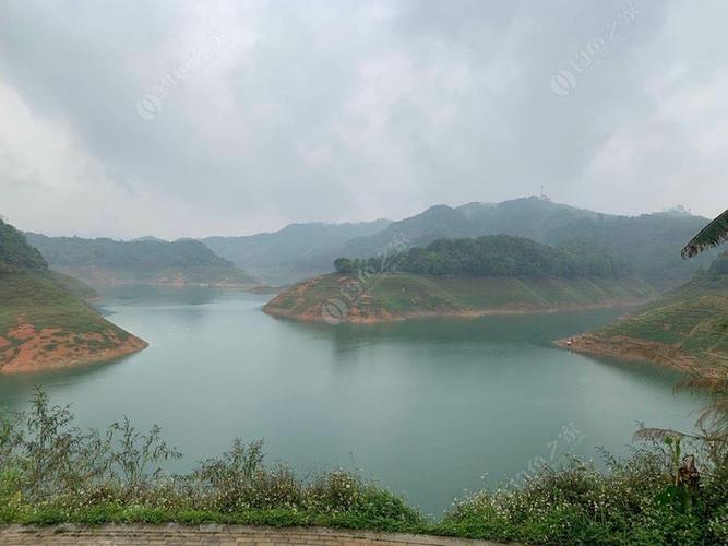 湛江市麻章区合流水库能钓鱼吗?湛江合流水库钓鱼收费-图2 湛江市麻章区合流水库能钓鱼吗?湛江合流水库钓鱼收费-图2