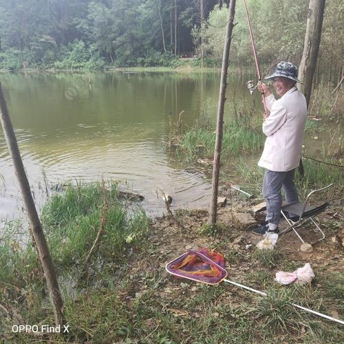 掌布附近哪里可以钓鱼?天鹅湖钓鱼怎么收费-图3 掌布附近哪里可以钓鱼?天鹅湖钓鱼怎么收费-图3