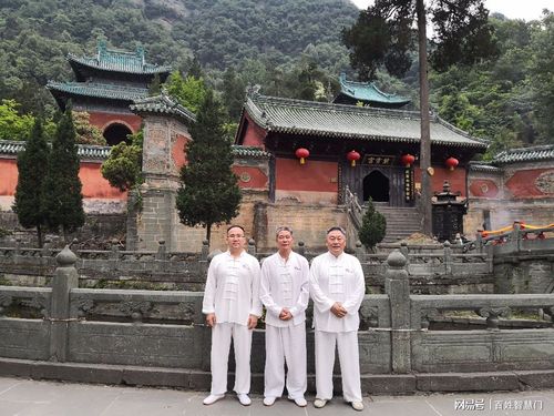 到武当山学太极拳要交钱吗?武当山怎么收费的-图2 到武当山学太极拳要交钱吗?武当山怎么收费的-图2