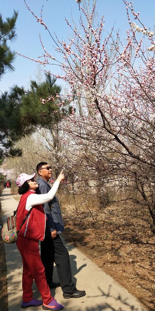 辽阳龙泉山庄门票？辽阳首山公园收费吗
