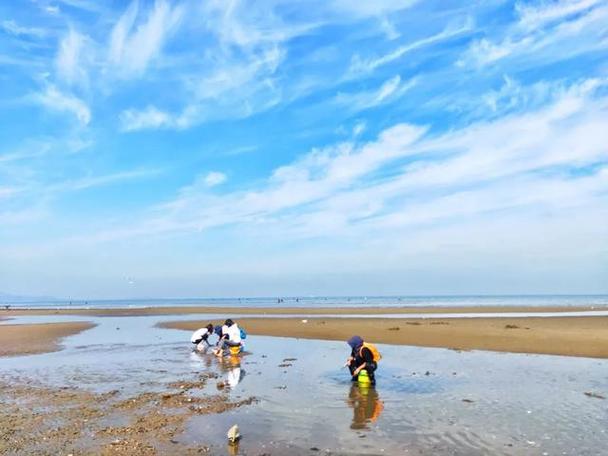辽宁8月份赶海最佳地点?夏家河子海滨公园收费-图1 辽宁8月份赶海最佳地点?夏家河子海滨公园收费-图1
