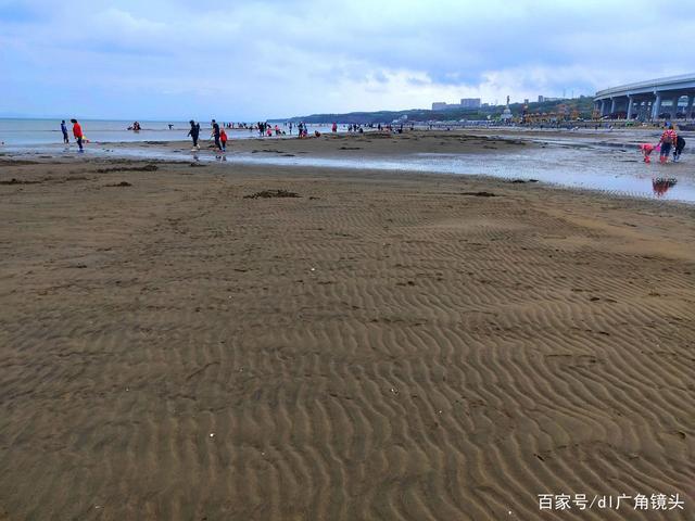 辽宁8月份赶海最佳地点?夏家河子海滨公园收费-图3 辽宁8月份赶海最佳地点?夏家河子海滨公园收费-图3