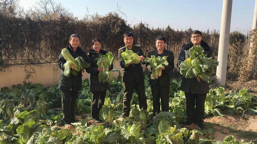g1高速收费站名称?收费站菜园文化-图3 g1高速收费站名称?收费站菜园文化-图3
