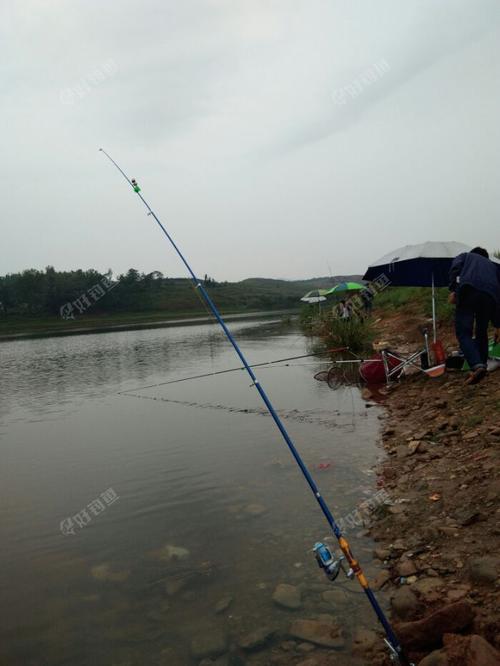 在南阳鸭河水库钓鱼租一天鱼证多少钱?好租吗?南阳鸭河钓鱼收费-图2 在南阳鸭河水库钓鱼租一天鱼证多少钱?好租吗?南阳鸭河钓鱼收费-图2