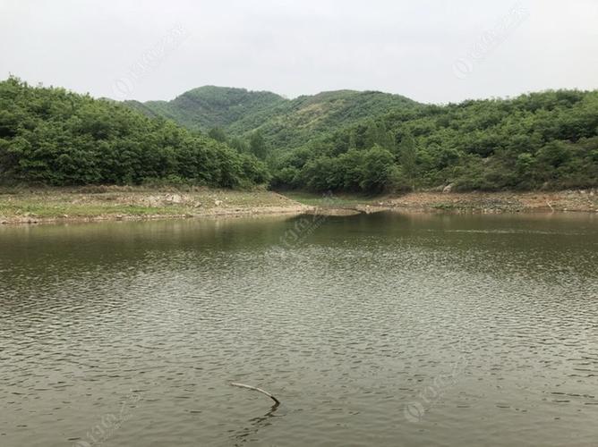 在南阳鸭河水库钓鱼租一天鱼证多少钱?好租吗?南阳鸭河钓鱼收费-图3 在南阳鸭河水库钓鱼租一天鱼证多少钱?好租吗?南阳鸭河钓鱼收费-图3