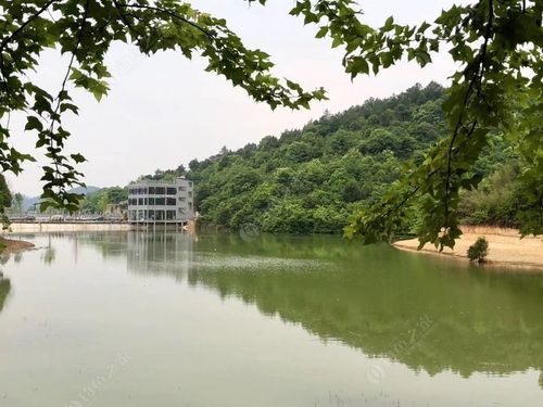 长沙泉水冲免费钓鱼水库？长沙水库钓鱼不收费