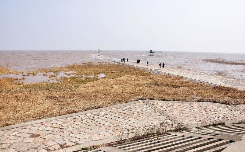 上海可以自由游玩的沙滩?老码头停车场收费-图3 上海可以自由游玩的沙滩?老码头停车场收费-图3