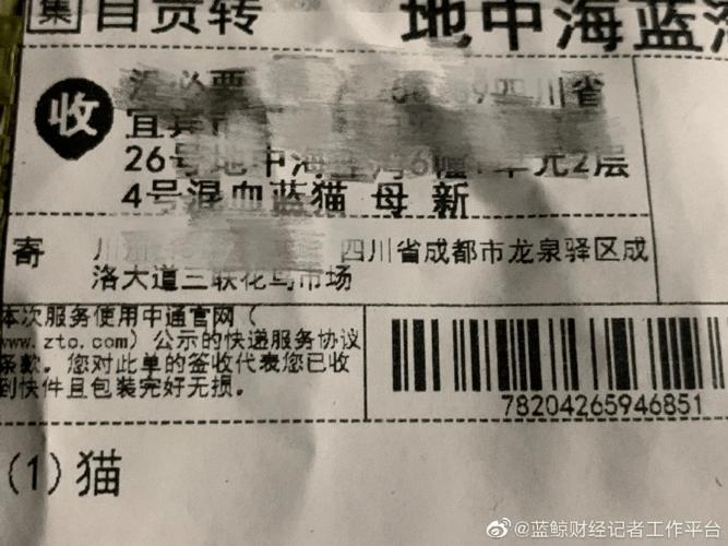 黑龙江到郑州快递空运一只狗多少钱?郑州宠物快递收费查询-图1 黑龙江到郑州快递空运一只狗多少钱?郑州宠物快递收费查询-图1