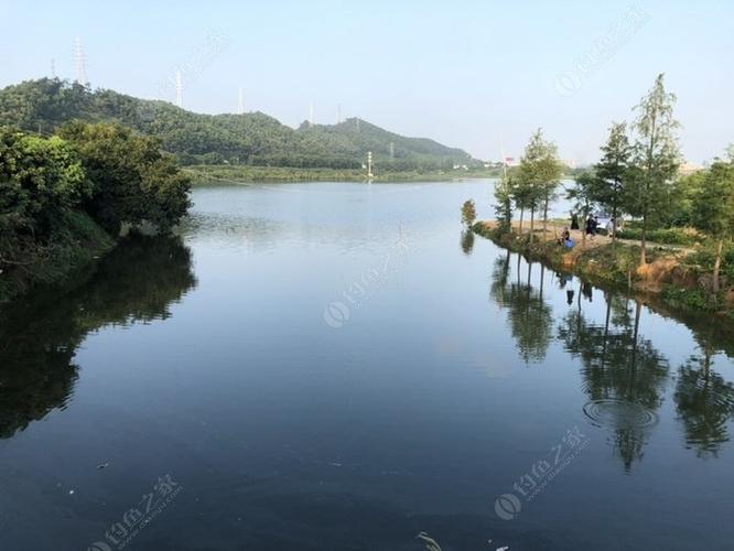 紫湖水库怎么进去?紫帽水库钓鱼收费吗-图2 紫湖水库怎么进去?紫帽水库钓鱼收费吗-图2
