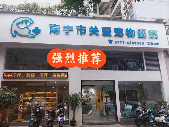 南宁有哪家宠物医院比较好？广西大学动物医院 收费