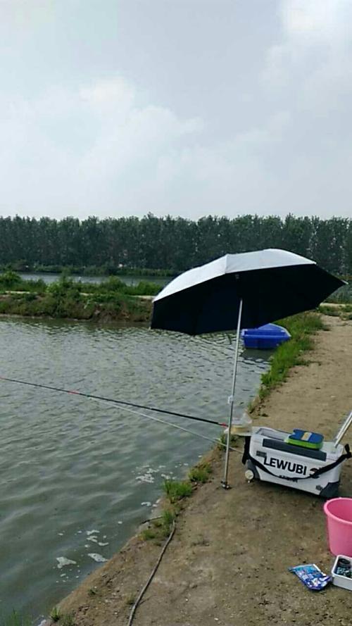 浦口野钓最佳位置?南京收费垂钓中心-图3 浦口野钓最佳位置?南京收费垂钓中心-图3