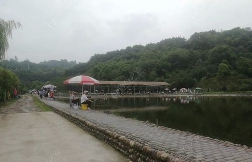 浦口野钓最佳位置?南京收费垂钓中心-图2 浦口野钓最佳位置?南京收费垂钓中心-图2