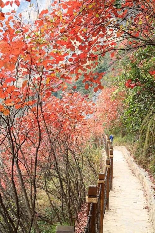 台州有哪些美景美景？黄岩红叶健身房收费
