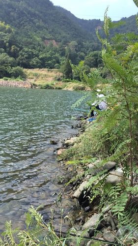 历史十大顶级谋略？三亚青田水库钓鱼收费不