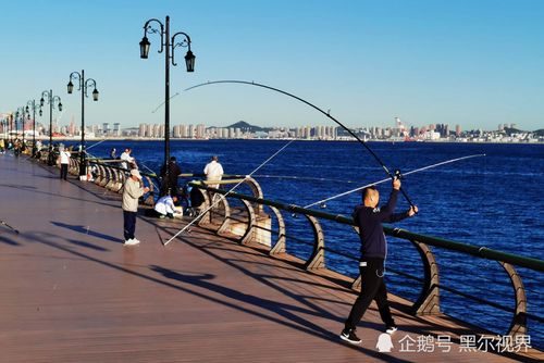 东港钓鱼最佳地点？大连收费岸钓