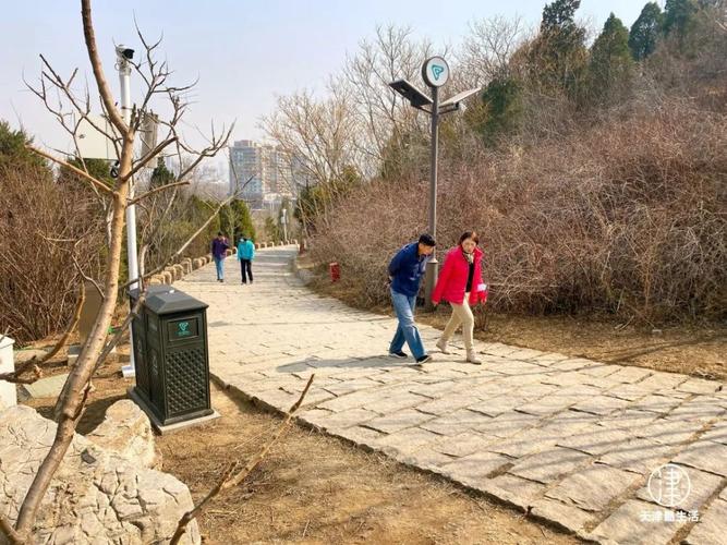 到景区卖小狗好卖吗?天津堆山公园收费吗-图3 到景区卖小狗好卖吗?天津堆山公园收费吗-图3