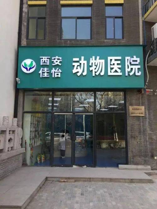 西安的哪家宠物医院比较好?西安宠物医院收费合理-图1 西安的哪家宠物医院比较好?西安宠物医院收费合理-图1